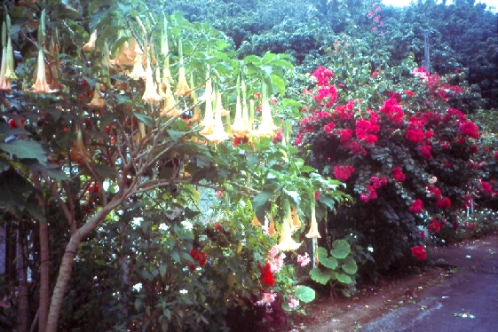 Réunion